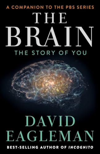 Beispielbild fr The Brain: The Story of You zum Verkauf von Better World Books