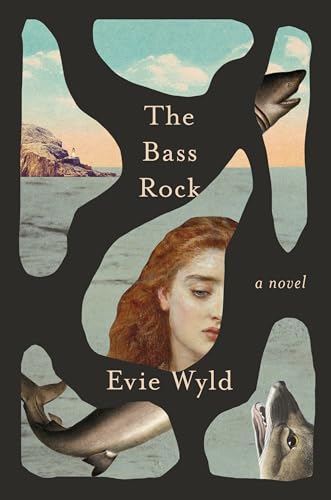 Stock image for The Bass Rock: A Novel for sale by SecondSale