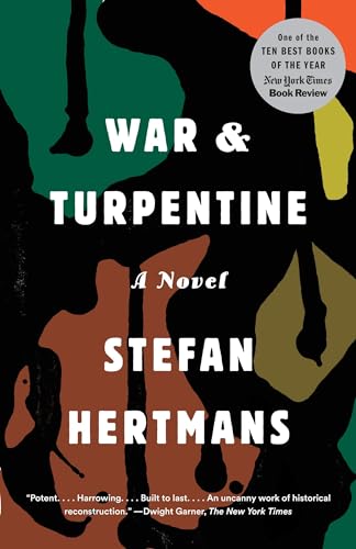 Stock image for War and Turpentine: A Novel for sale by Your Online Bookstore