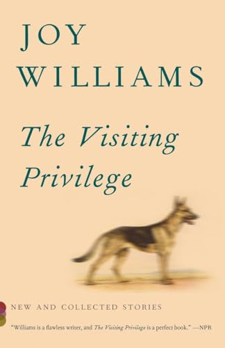 9781101873717: The Visiting Privilege: New and Collected Stories (Vintage Contemporaries)