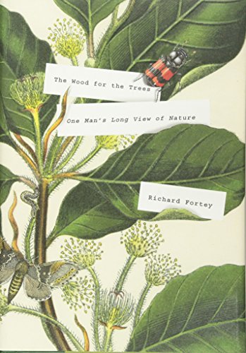 Imagen de archivo de The Wood for the Trees : One Man's Long View of Nature a la venta por Better World Books