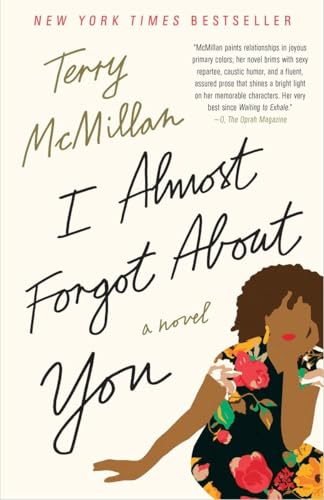 9781101902592: I Almost Forgot About You: A Novel