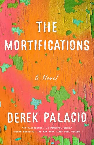 Imagen de archivo de The Mortifications: A Novel a la venta por Wonder Book