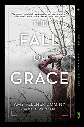 Beispielbild fr The Fall of Grace zum Verkauf von Better World Books