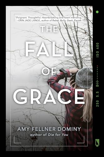 Imagen de archivo de The Fall of Grace a la venta por Better World Books