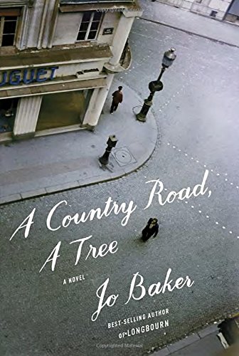Stock image for A Country Road, A Tree: A novel for sale by SecondSale