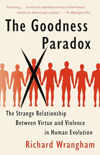 Beispielbild fr The Goodness Paradox zum Verkauf von Blackwell's