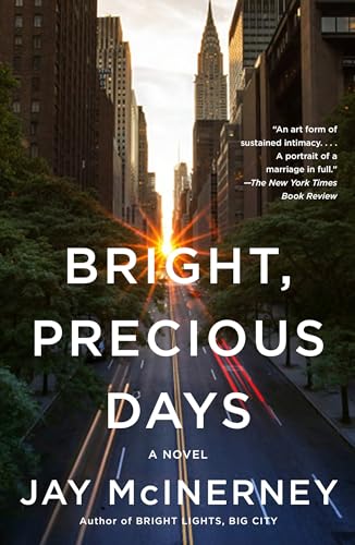 Stock image for Bright, Precious Days: A Novel (Vintage Contemporaries) for sale by SecondSale