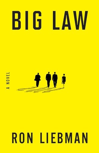 Beispielbild fr Big Law: A Novel zum Verkauf von Wonder Book