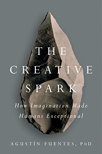 Stock image for The Creative Spark : How Imagination Made Humans Exceptional for sale by Better World Books