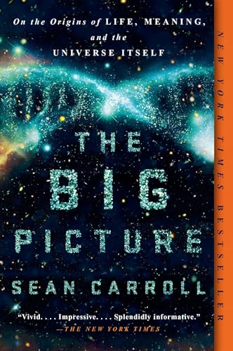 Imagen de archivo de The Big Picture: On the Origins of Life, Meaning, and the Universe Itself a la venta por Goodwill Books