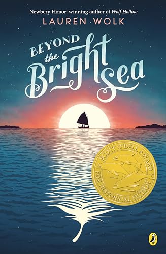 Stock image for Beyond the Bright Sea for sale by Your Online Bookstore