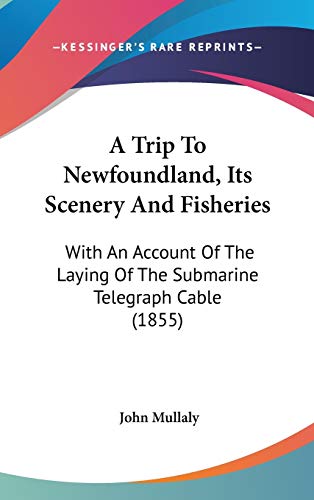 Stock image for A Trip To Newfoundland, Its Scenery And Fisheries: With An Account Of The Laying Of The Submarine Telegraph Cable (1855) for sale by ALLBOOKS1