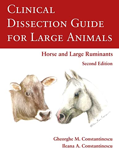 Stock image for Clinical Dissection Guide For Large Animals for sale by GreatBookPrices