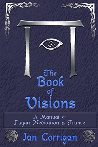 Stock image for The Book of Visions for sale by SecondSale