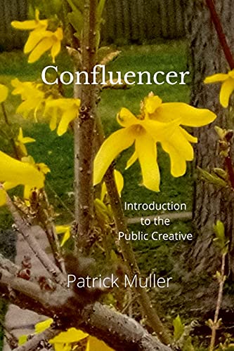 Stock image for Confluencer: Introduction of the Public Creative for sale by Lucky's Textbooks