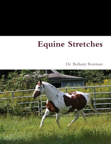 Stock image for Equine Stretches for sale by GreatBookPrices