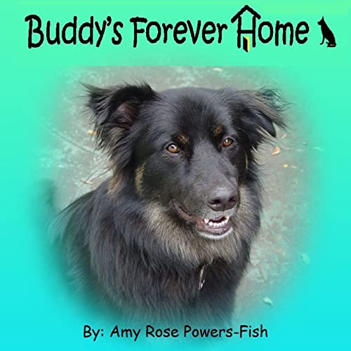 Imagen de archivo de Buddy's Forever Home a la venta por PBShop.store US