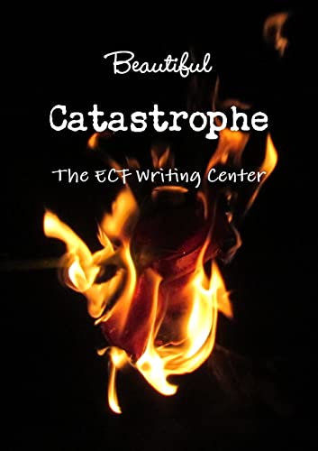 Stock image for Beautiful Catastrophe for sale by California Books