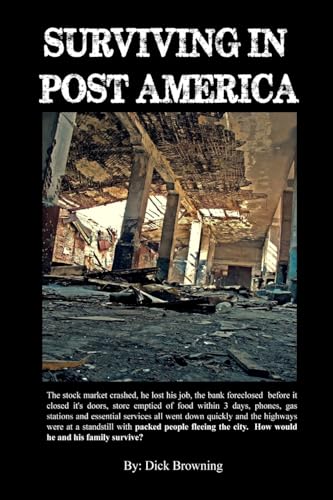 Imagen de archivo de Surviving In Post America a la venta por Chiron Media