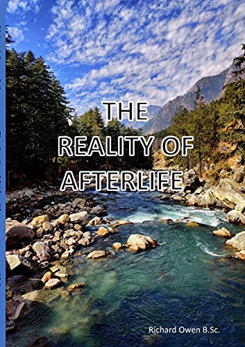 Stock image for The Reality Of Afterlife for sale by Chiron Media