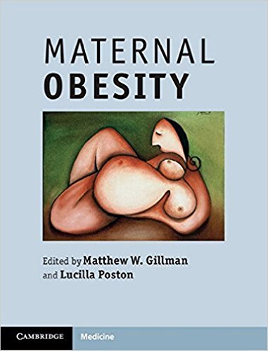 Beispielbild fr Maternal Obesity zum Verkauf von AwesomeBooks