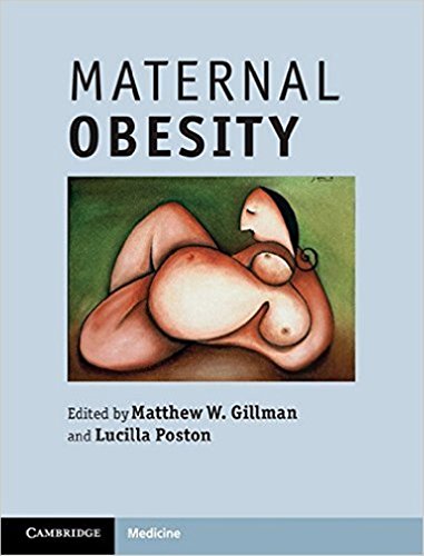 Imagen de archivo de Maternal Obesity : The Effects of Obesity and Metabolic Syndrome on Fertility and Reproductive Success a la venta por Better World Books