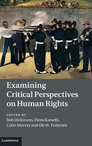 Imagen de archivo de Examining Critical Perspectives on Human Rights a la venta por Cambridge Rare Books