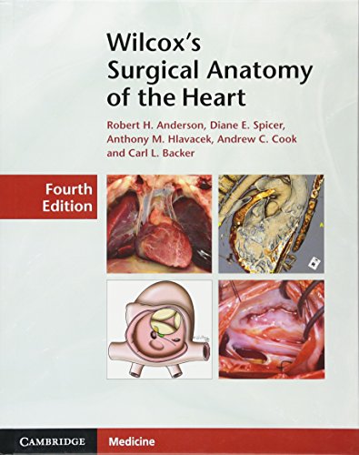 Stock image for Wilcox's Surgical Anatomy of the Heart for sale by -OnTimeBooks-