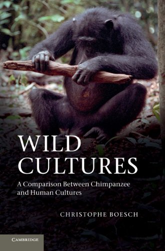 9781107025370: Wild Cultures: A Comparison between Chimpanzee and Human Cultures