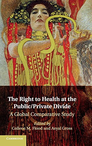 Stock image for The Right to Health at the Public/Private Divide: A Global Comparative Study for sale by Revaluation Books