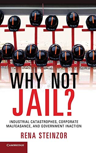 Beispielbild fr Why Not Jail? : Industrial Catastrophes, Corporate Malfeasance, and Government Inaction zum Verkauf von Better World Books