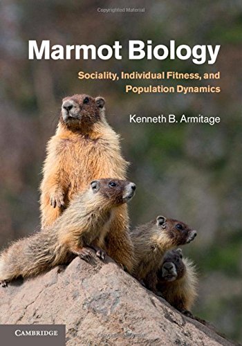 Beispielbild fr Marmot Biology zum Verkauf von Blackwell's
