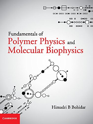 Beispielbild fr Fundamentals of Polymer Physics and Molecular Biophysics zum Verkauf von Blackwell's