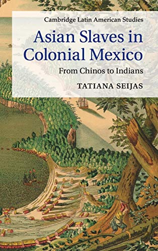 9781107063129: Asian Slaves in Colonial Mexico: From Chinos to Indians (Cambridge Latin American Studies, Series Number 100)