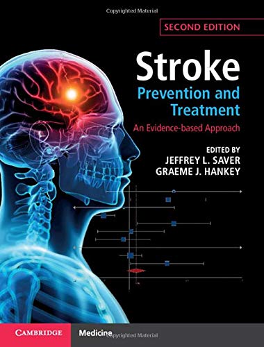 Imagen de archivo de Stroke Prevention and Treatment: An Evidence-based Approach a la venta por BooksRun