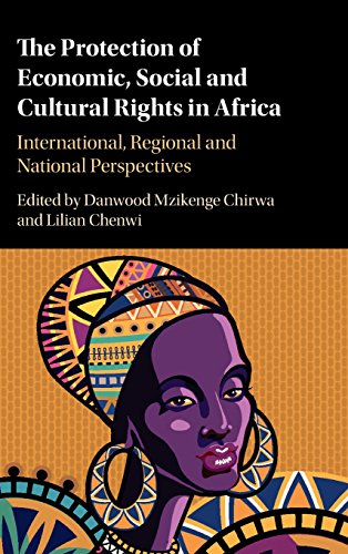 Stock image for The Protection of Economic, Social and Cultural Rights in Africa: International, Regional and National Perspectives for sale by Phatpocket Limited