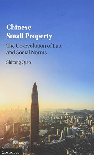 Imagen de archivo de Chinese Small Property: The Co-Evolution of Law and Social Norms a la venta por Academybookshop