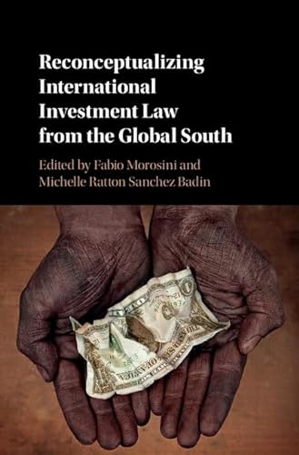 Stock image for Reconceptualizing International Investment Law from the Global South for sale by Prior Books Ltd
