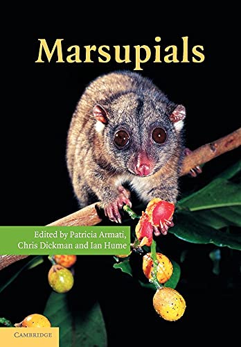 Stock image for Marsupials for sale by Revaluation Books