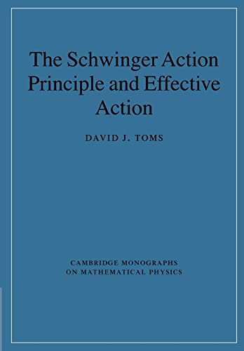 9781107406308: The Schwinger Action Principle and Effective Action