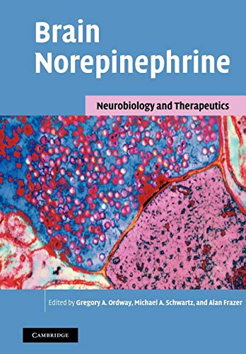 Beispielbild fr Brain Norepinephrine: Neurobiology and Therapeutics zum Verkauf von Chiron Media