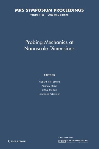 Stock image for Probing Mechanics At Nanoscale Dimensions V1185 Pb for sale by Iridium_Books