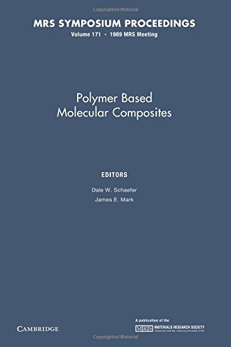 Imagen de archivo de Polymer Based Molecular Composites V171 Pb a la venta por Iridium_Books