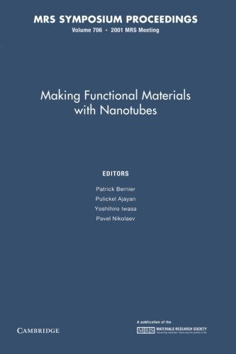 Stock image for Making Functional Materials With Nanotubes V706 Pb for sale by Iridium_Books