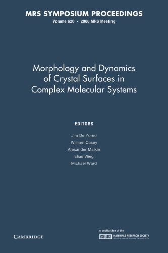 Stock image for Morphology and Dynamics of Crystal Surfaces in Complex Molecular Systems: Volume 620 for sale by Revaluation Books
