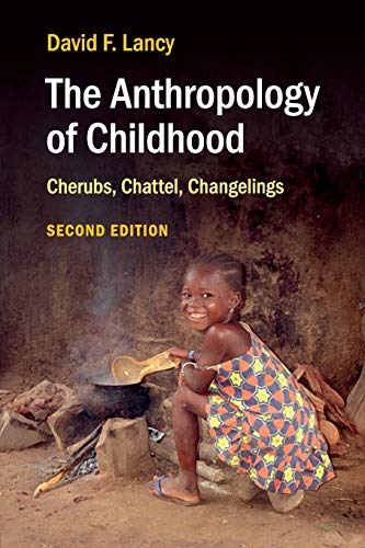 Imagen de archivo de The Anthropology of Childhood: Cherubs, Chattel, Changelings a la venta por SecondSale