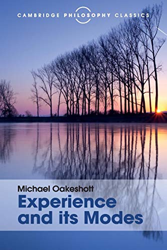 Stock image for Experience and its Modes (Cambridge Philosophy Classics) for sale by Chiron Media