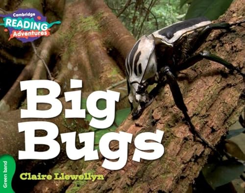 Stock image for Big Bugs for sale by Blackwell's