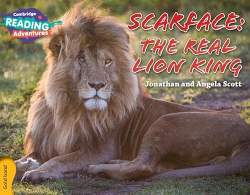 Beispielbild fr Scarface: The Real Lion King Gold Band (Cambridge Reading Adventures) zum Verkauf von Monster Bookshop